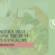 Best Dietician in Bangalore